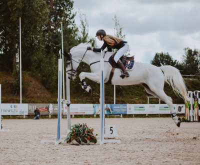 Ongeval met een paard